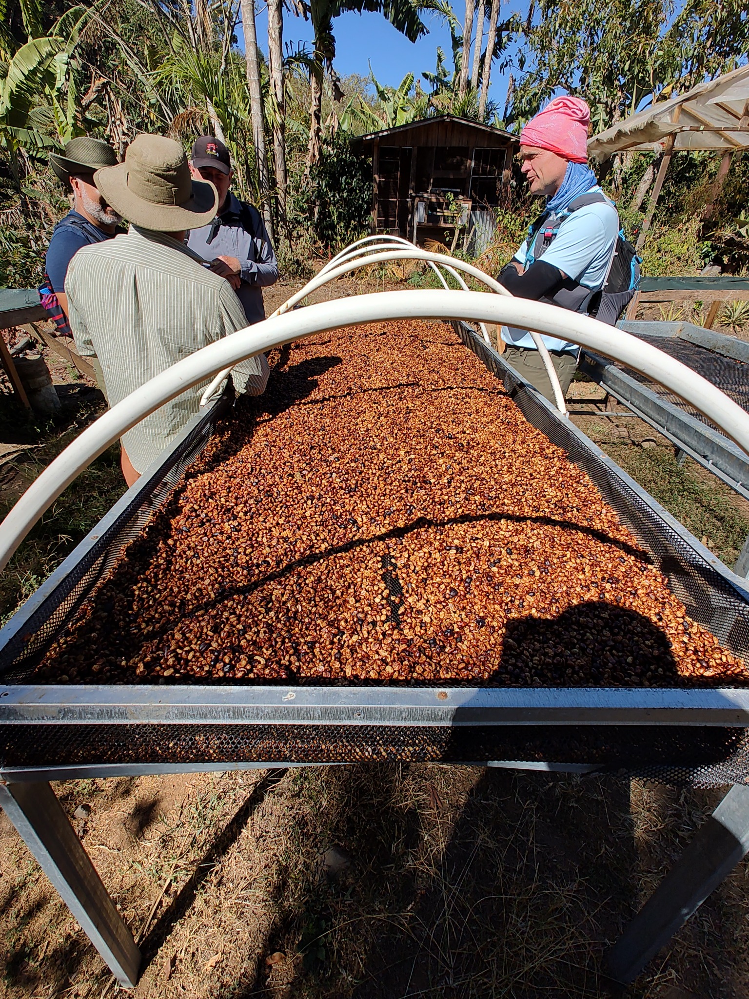 Tradiciones y cultura del café